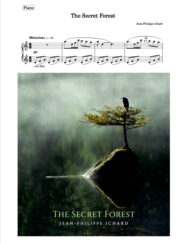 The Secret Forest